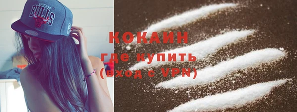 дживик Алзамай