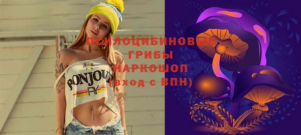 дживик Алексеевка