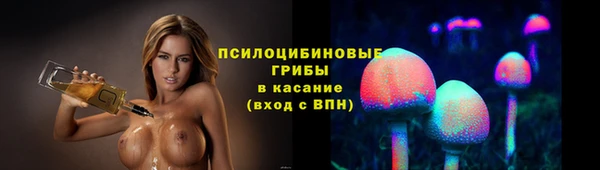 трава Арсеньев