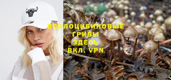 прущие крисы Алексин