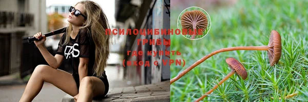 дживик Алексеевка
