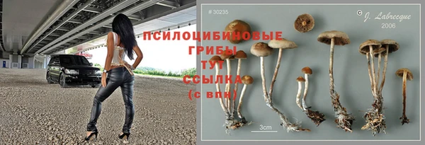 дживик Алзамай