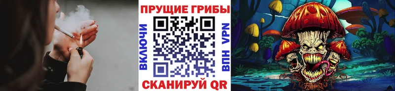 Псилоцибиновые грибы MAGIC MUSHROOMS  darknet состав  Калининск 